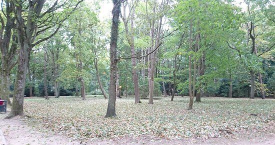Plaża